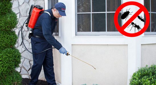 Erbaa Dezenfeksiyon böcek ilaçlama ve haşere kontrolü — ilaclama-tr.com